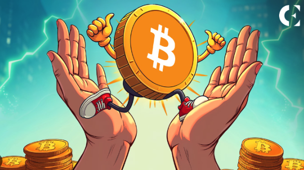 BTC价格趋势分析：未来（2026年-2030年）涨跌看什么指标？ - php中文网